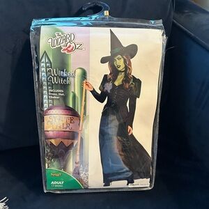 🧪 Elphaba costume 🎥